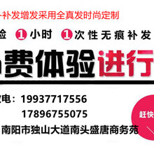 第1875页