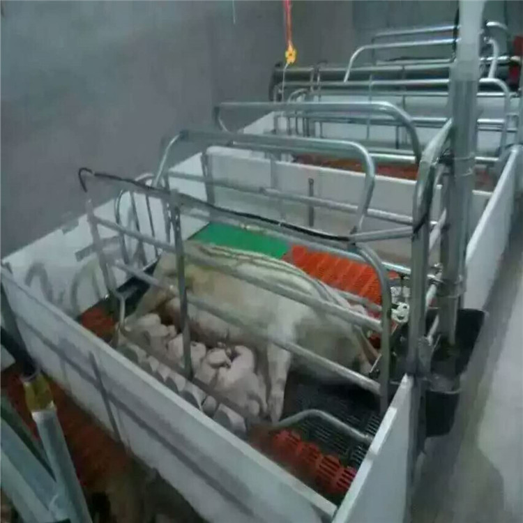 最新母猪产床，自然美景鼓舞之旅的启程点
