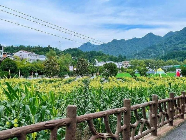 各类运输车辆 第414页