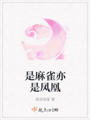 各类运输车辆 第398页