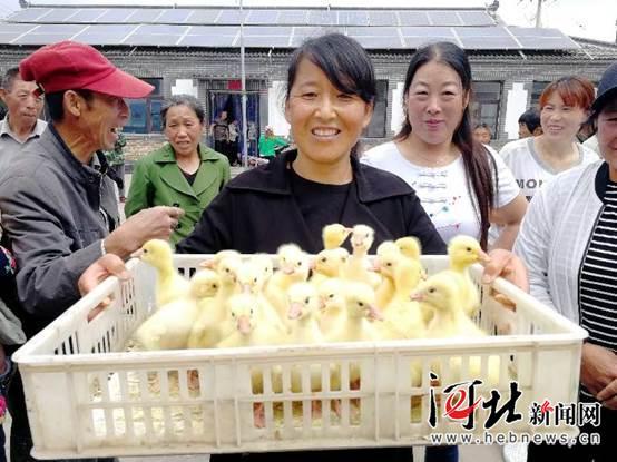 承德围场车祸最新消息,承德围场车祸最新消息背后的温情故事