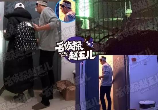 井柏然倪妮最新视频，深度分析与观点阐述