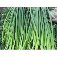 金乡蒜苔最新行情揭秘，小巷深处的蒜香宝藏价格更新
