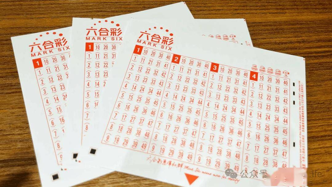 澳门六合大全,高速应对逻辑_迷你版29.566