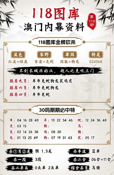 2024年今晚澳门开特马,策略规划_赛博版62.858