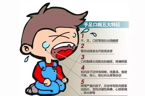 疾病最新介绍,疾病最新介绍，一场突如其来的小病与温馨的日常故事