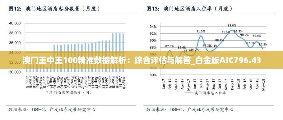 新澳门王中王100%期期中,实践数据分析评估_科技版53.446