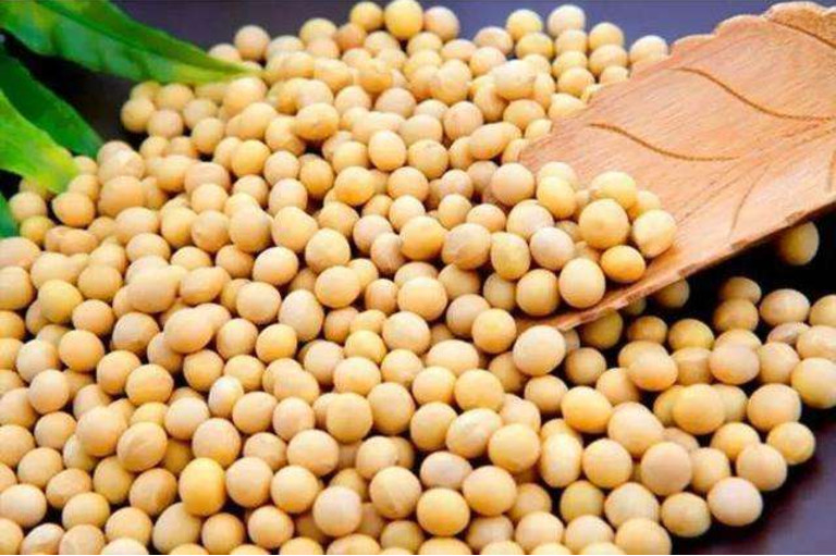 大豆紧缺现状分析及应对大豆供应危机的步骤指南