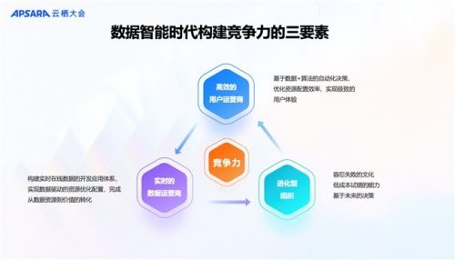 2024精准资料免费大全,题材决策资料_变革版13.196