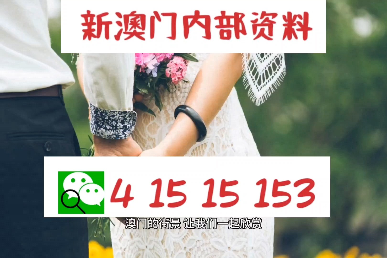 新澳内部资料免费提供,專家解析意見_专属版9.462