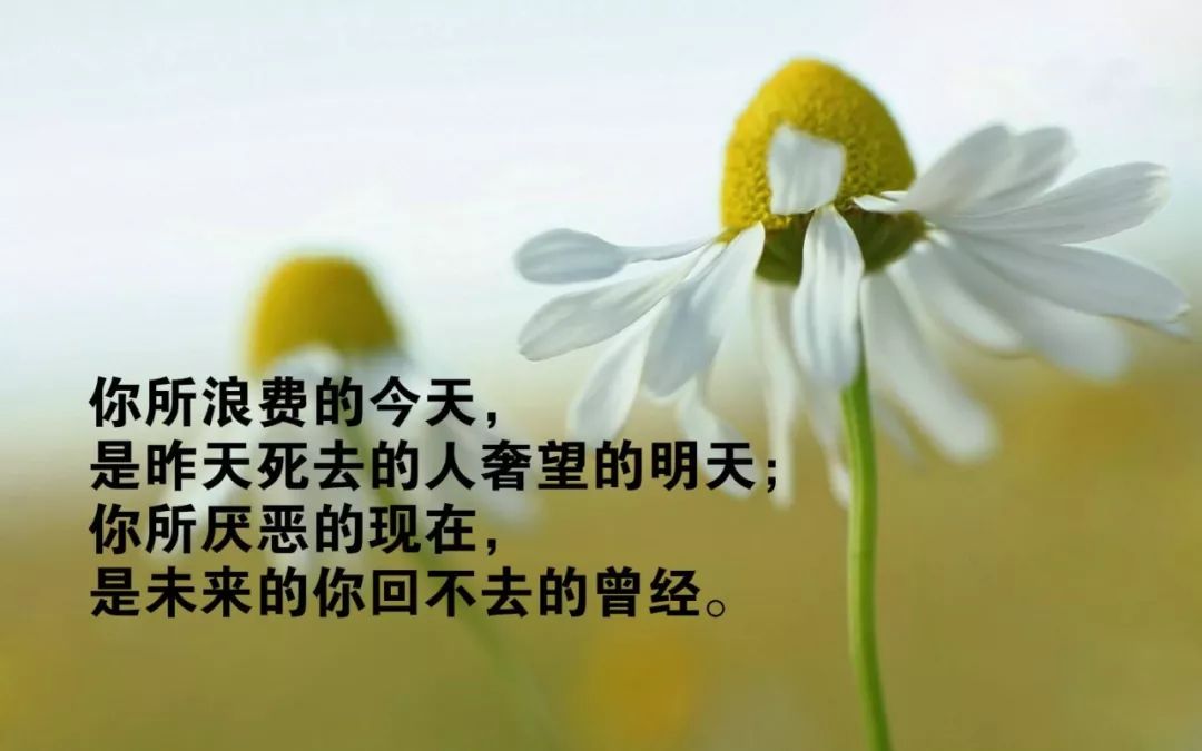 最新正能量语录深度解读与个人立场启示