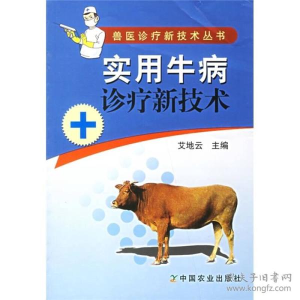 最新牛病揭秘，小巷深处的独特风味探秘
