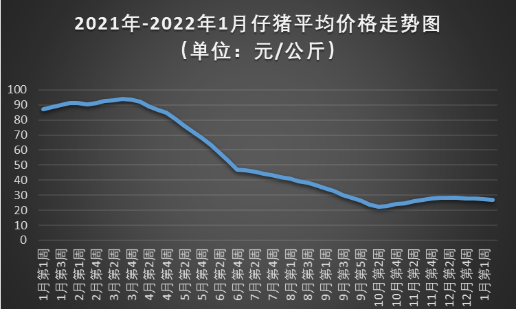 子猪最新价格行情解析，带你洞悉市场趋势