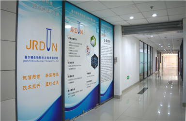 2024新奥门免费资料,计算机科学与技术_极致版20.596