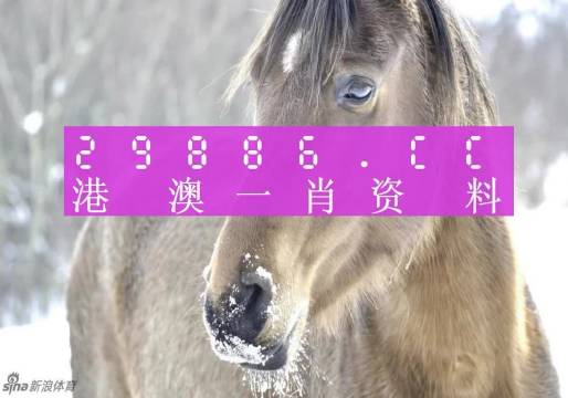 最准一肖一码100%澳门,现况评判解释说法_轻量版74.440