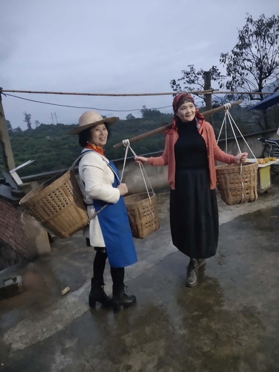 各类运输车辆 第140页