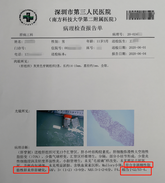确诊病例最新动态，自然疗愈的力量呼唤旅行启程