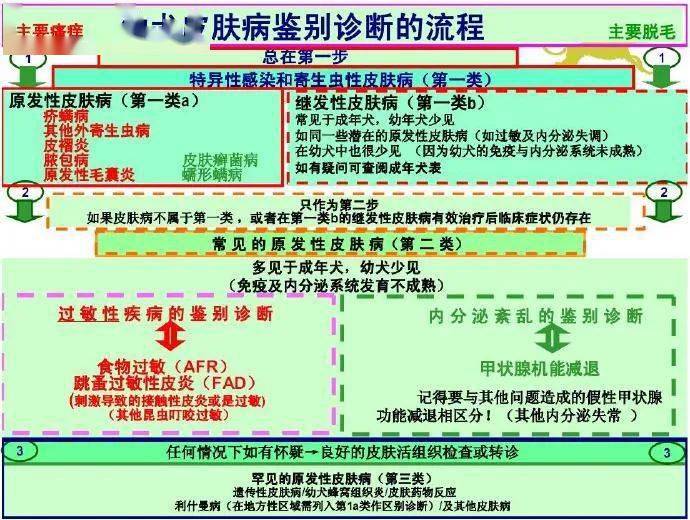 服务案例 第124页