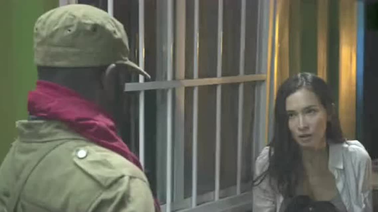 各类运输车辆 第19页