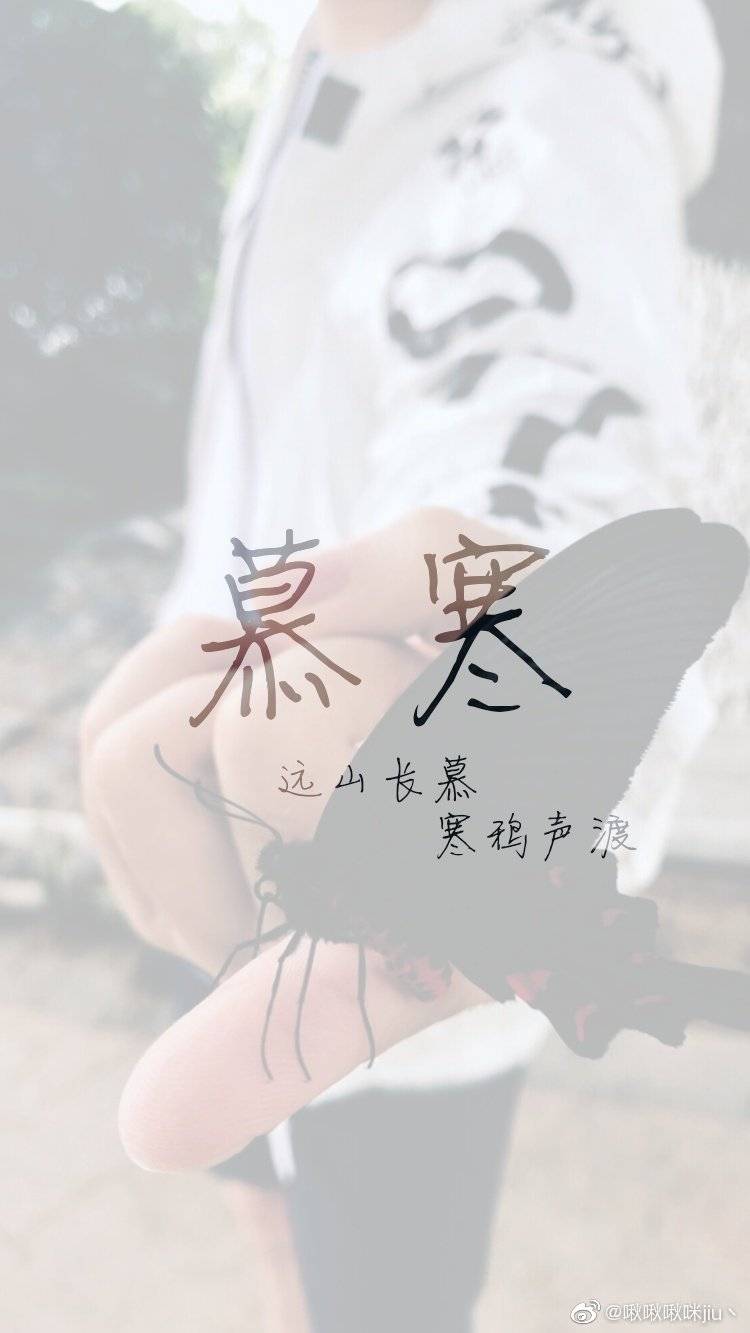 服务案例 第14页