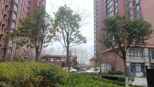 商丘帝城国际最新动态及小巷独特风味探秘