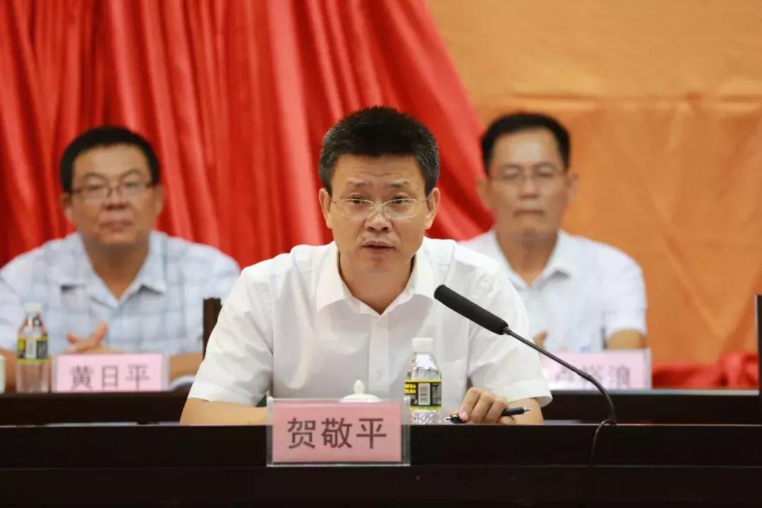 直播港澳台最新,变化、学习与自信的力量