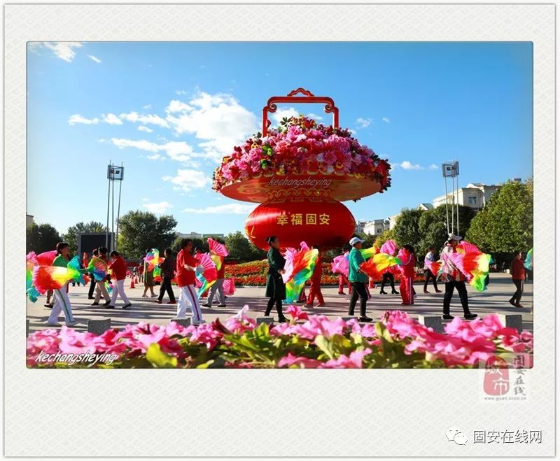 固安最新闻，温馨日常的趣事与情感纽带