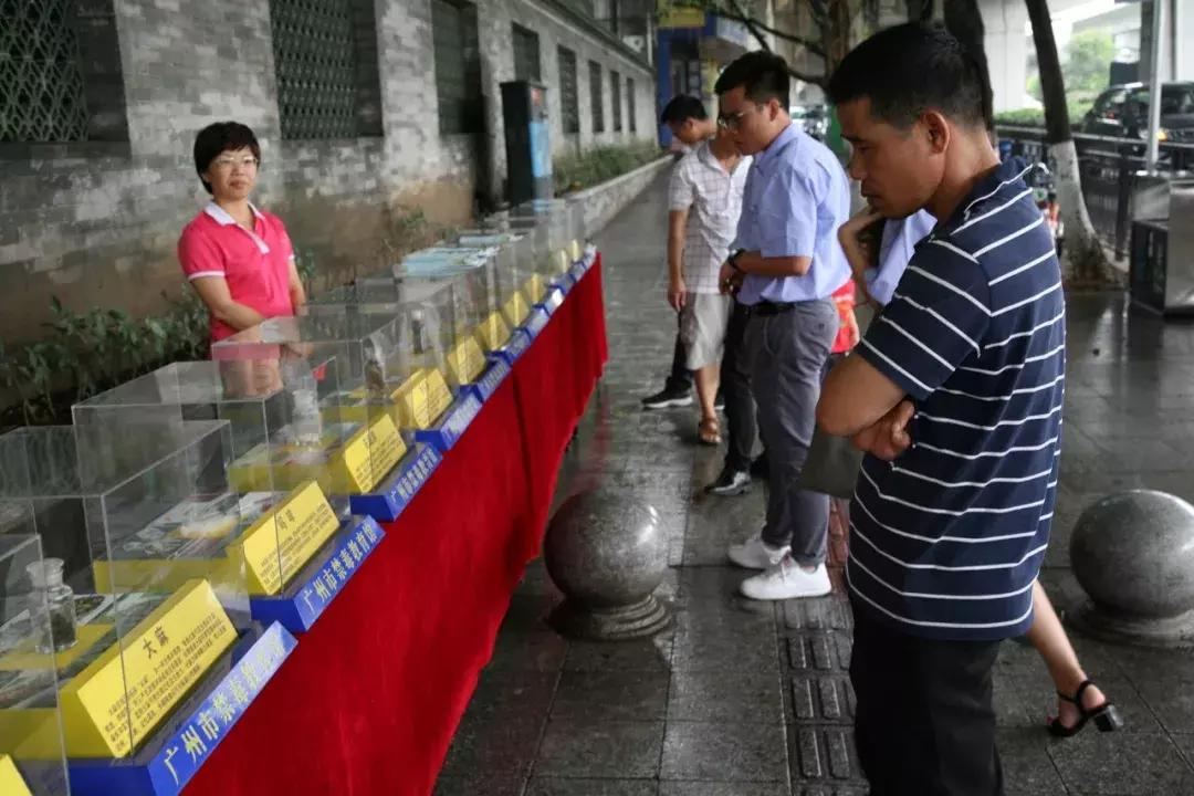 新澳门一码一码100准确,禁毒安全教育设计_转融券EWV98.49.84
