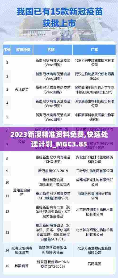 新澳精准资料免费提供,快速处理计划_IRJ51.417社交版