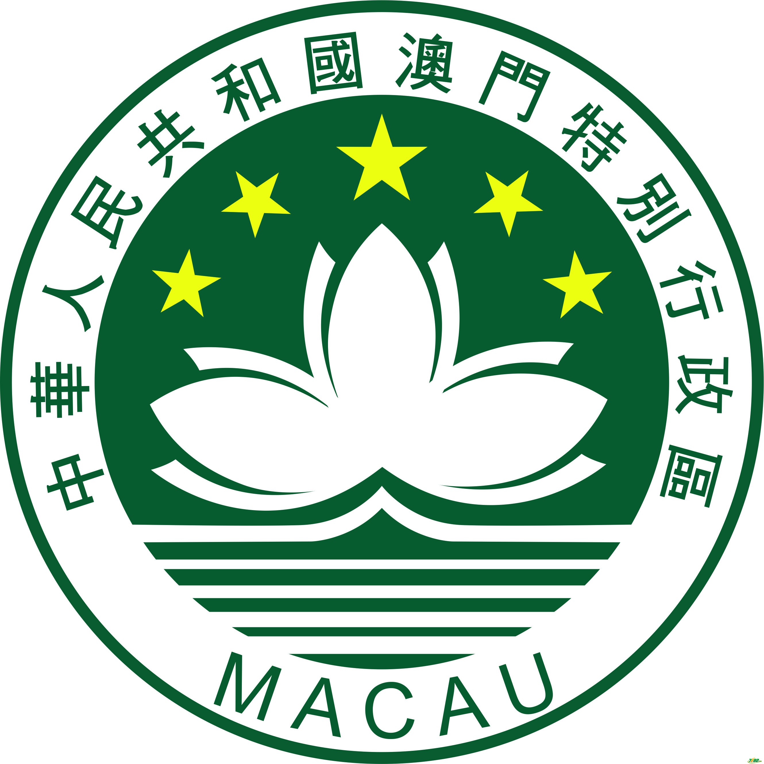 新澳门一肖一特一中,统计信息解析说明_BIO54.509数字版