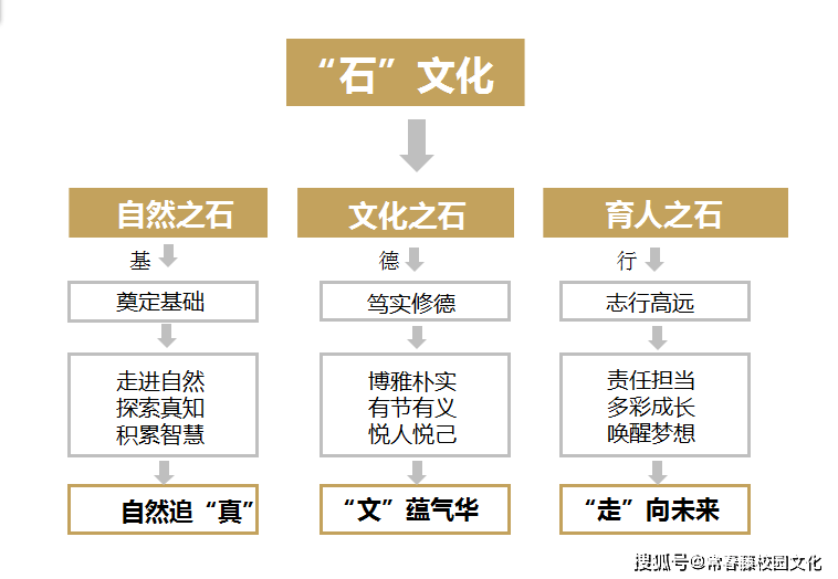 澳门有没有6合彩,专业解读方案实施_AAG94.344精致生活版