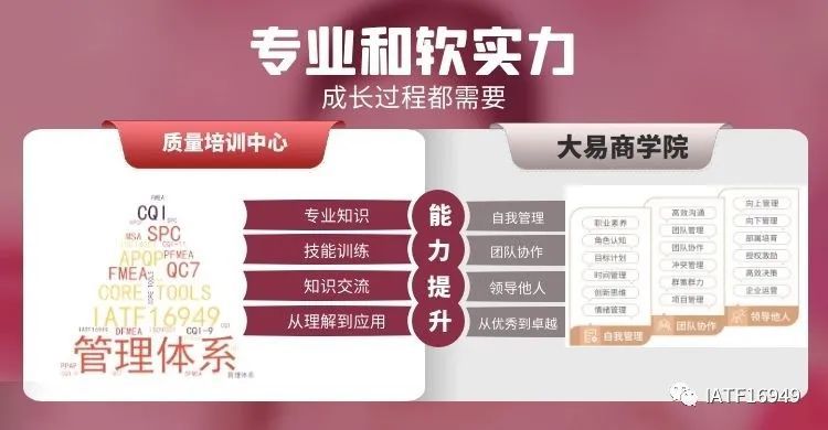 2024年管家婆的马资料50期,执行验证计划_SGL79.650无线版