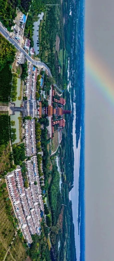 肥东盛开最新情况,一场自然美景的探索之旅