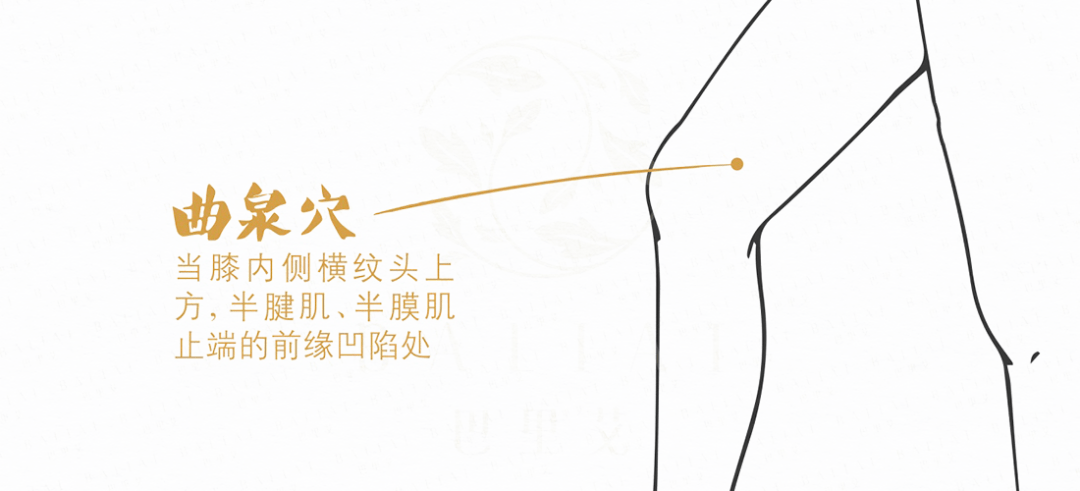 老奇人最准资料大全最新,实时异文说明法_BFY79.107见证版