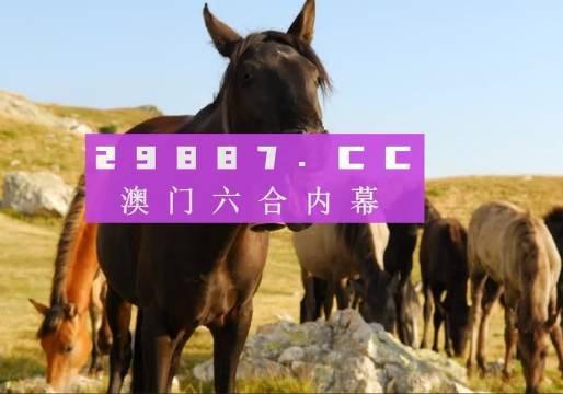 2024澳门管家婆一肖一码,连贯评估方法_扩展版70.171