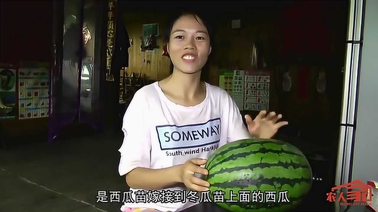 最新的大瓜,学习变化,自信成就梦想