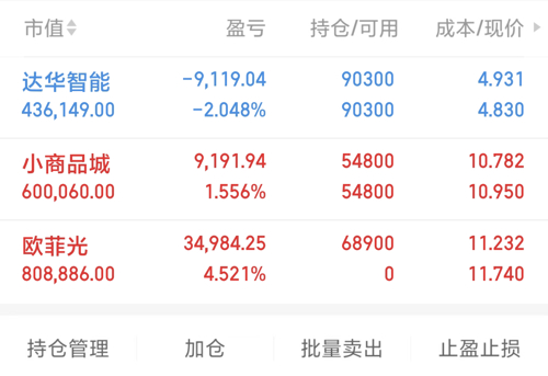 达华智能股票，小巷中的隐藏宝藏，探索特色小店的无限魅力