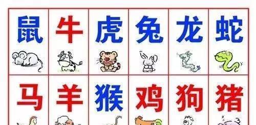 2025年全年免费公开资料或2025精准资料大全免费无中生有的动物：牛、猪、虎、马,三句是诗中有诗,详细解答、解释与落实-全面释义、专家解析解释与落实