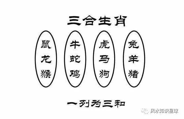 2025年全年免费公开资料或2025精准资料大全免费无中生有的动物:牛、猪、虎、马,三句是诗中有诗,详细解答、解释与落实-全面释义、专家解析解释与落实