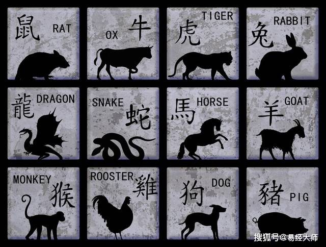 2025年全年免费公开资料或2025精准资料大全免费无中生有的动物:牛、猪、虎、马,三句是诗中有诗,详细解答、解释与落实-全面释义、专家解析解释与落实