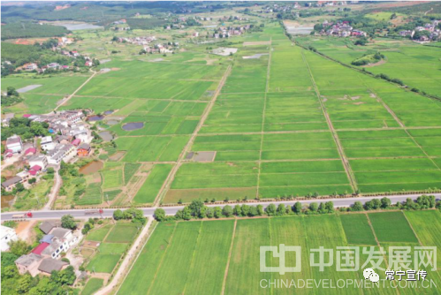 常宁市新河镇最新消息,常宁市新河镇最新消息